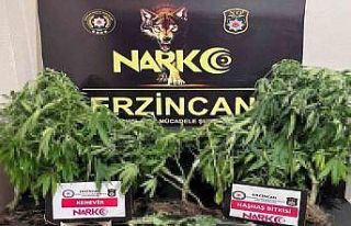 Erzincan polisi uyuşturucuya geçit vermiyor