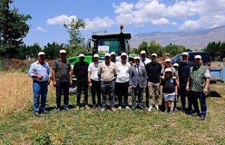 Erzincan’ın Mahmutlu köyünde tarla günü düzenlendi