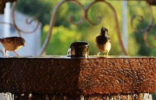 Erzurum ve çevresi için kavurucu sıcaklık uyarısı