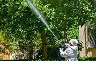 Esenyurt Belediyesi’nden ağaçlara teke böceği...