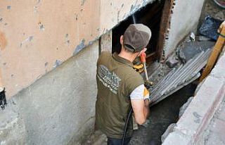 Esenyurt Belediyesi’nden fare ve haşerelere karşı...