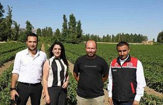 Eskişehir topraklarında dönüşüm başladı