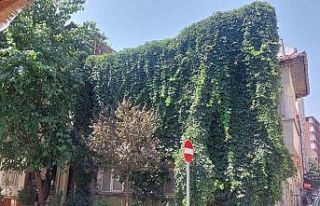 Eskişehir’de doğa, evle bütünleşti