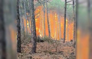 Eskişehir’deki orman yangınında 2 Denizlili ormancı...