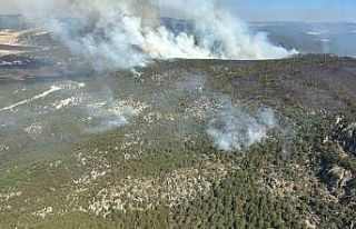 Eskişehir’deki yangına 2’nci gününde müdahale...
