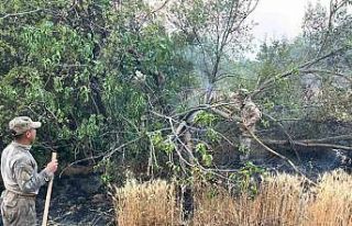Eskişehir’den Bilecik yangınına giden jandarma...