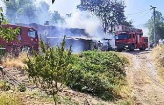 Ev alevler içinde kaldı, uyuyakalan ev sahibini...