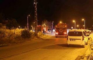 Evlilik teklifinde atılan havai fişekler ağaçlık...