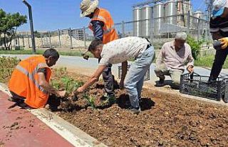 Eyyübiye’nin Çiçekleri Eyyübiye Serakent’ten
