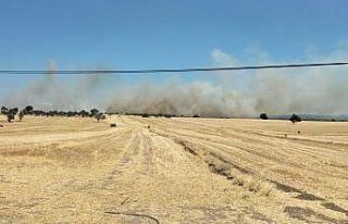 Ezine’de tarım arazisinde yangın