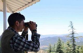 Feke’de bin 700 rakımda "Yeşil Vatan"...