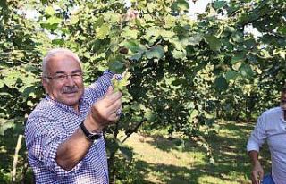 Ferrero’ya ’yasak’ geldi