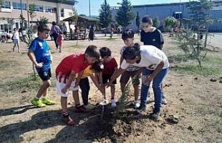 Fidanlar toprakla buluştu can suyu verildi