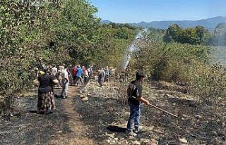 Fındık bahçesinde temizlerken bir dönüm alan...