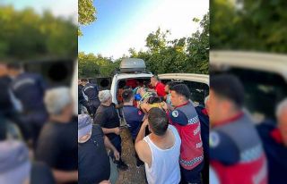 Fındık tarlasında çalışırken dereye düştü:...