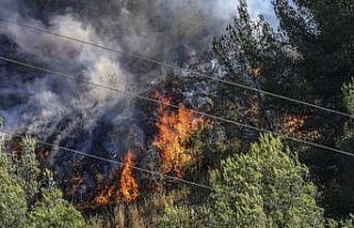 Fransa’daki orman yangınında yaralananların sayısı...