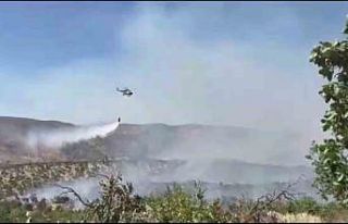 Gabar Dağı’nda orman yangını