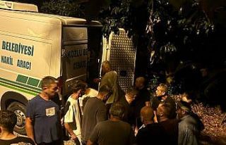 Gazeteci Cem Küçük’ün babası fındık bahçesinde...