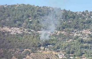 Gazipaşa’da ormanlık alanda başlayan yangın...