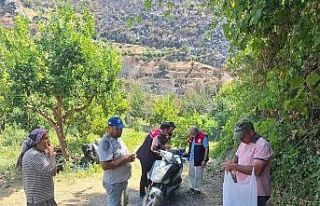 Gazipaşa’da yangın mağduru üreticilerin hasarı...