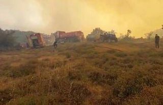 Gebze’deki orman yangınını söndürme çalışmaları...