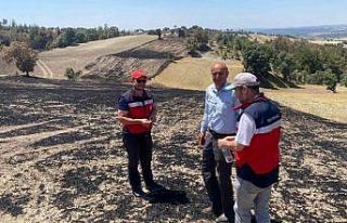 Gediz’de yangından etkilenen alanlar tespit edildi