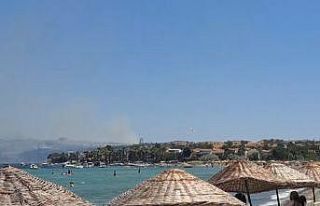 Gelibolu’da tarım arazisinde yangın