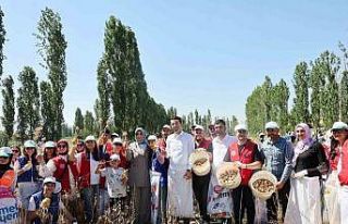 Gençler hasat etkinliği ile üretim süreçlerini...