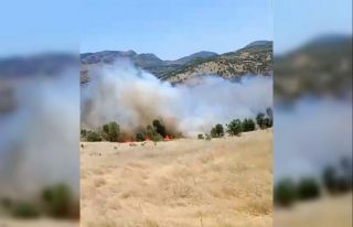 Gerger’de korkutan orman yangını