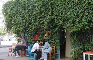 Gidenler bulmakta zorlanıyor, sarmaşık kaplı kafe...