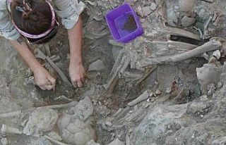 Gökçeada Uğurlu-Zeytinlik kazılarında tarım...