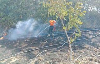 Gönen’de ormanlık alanda çıkan yangın söndürüldü