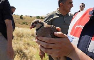 Gümüşhane’de keneyle mücadele için 400 keklik...