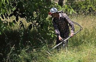 Gümüşhane’de ot biçme geleneği değişti, tırpanlar...