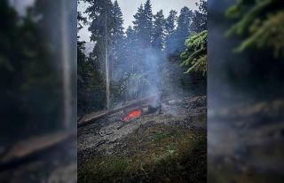 Gümüşhane’deki orman yangını söndürüldü