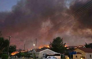 Güney Kıbrıs’ta çıkan orman yangınlarında...