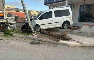 Hafif ticari araç önce ağaca, ardından direğe...