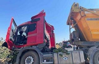 Hafriyat kamyonu ağaca çarptı: 2 yaralı