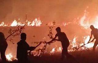 Hakkari-Van il sınırında arasında çıkan yangın...