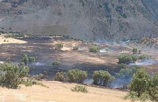 Hakkari’de anız yangını