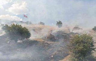 Hakkari’de çıkan yangınlara müdahale edildi