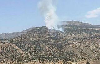 Hakkari’de orman yangını