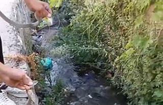 Hakkari’de toprak evin tavanına yuva yapan yılanlar...