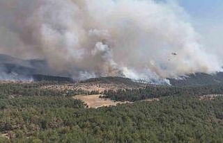 Harmancık Meyrandağı’ndaki yangın dronla böyle...