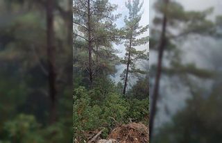 Hasanbeyli’de çıkan orman yangını kontrol altına...