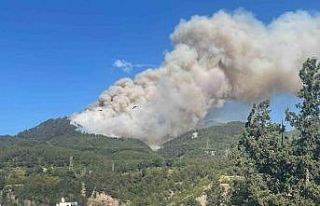 Hatay’da orman yangını