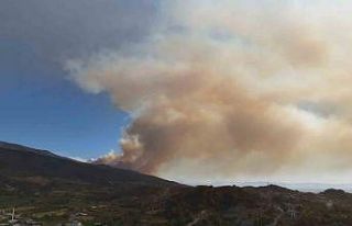 Hatay’da yangın bölgesi havadan görüntülendi