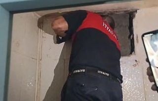 Havalandırma boşluğunda mahsur kalan yavru kedi...