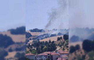 Havza’da anız yangını ormana sıçradı