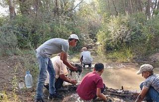 Hayvanları su içebilsin diye elleriyle mini gölet...